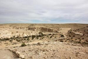 el negev es un Desierto en el medio este, situado en Israel y ocupando acerca de 60 60 de sus territorio. foto