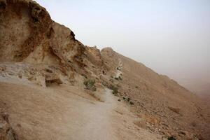 The Negev is a desert in the Middle East, located in Israel and occupying about 60 of its territory. photo