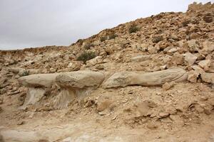 The Negev is a desert in the Middle East, located in Israel and occupying about 60 of its territory. photo