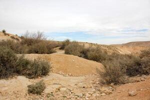 The Negev is a desert in the Middle East, located in Israel and occupying about 60 of its territory. photo