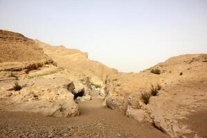 Landscape in the mountains with views of pristine nature. photo