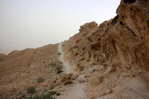 The Negev is a desert in the Middle East, located in Israel and occupying about 60 of its territory. photo