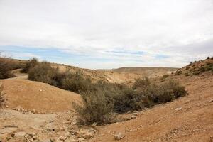 The Negev is a desert in the Middle East, located in Israel and occupying about 60 of its territory. photo