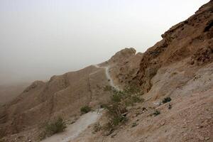 The Negev is a desert in the Middle East, located in Israel and occupying about 60 of its territory. photo