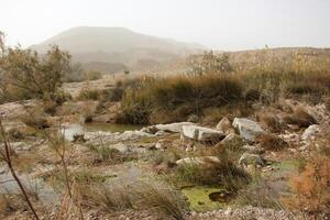 The Negev is a desert in the Middle East, located in Israel and occupying about 60 of its territory. photo