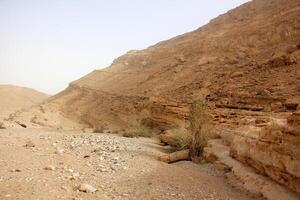 The Negev is a desert in the Middle East, located in Israel and occupying about 60 of its territory. photo