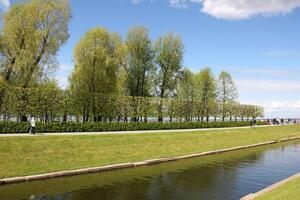 12 05 2023 St. Petersburg Russia. St. Petersburg is located in the north-west of the country on the coast of the Gulf of Finland at the mouth of the Neva River. photo