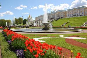 12 05 2023 St. Petersburg Russia. St. Petersburg is located in the north-west of the country on the coast of the Gulf of Finland at the mouth of the Neva River. photo
