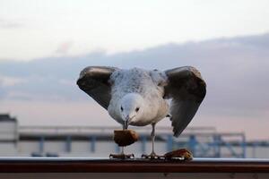 On the upper deck of a large ocean liner. photo