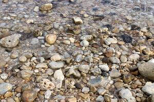 Stones and shells on the shore of the Mediterranean Sea. photo