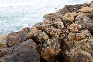 piedras y conchas en el apuntalar de el Mediterráneo mar. foto