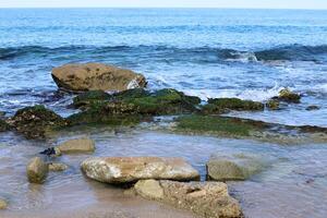 Stones and shells on the shore of the Mediterranean Sea. photo