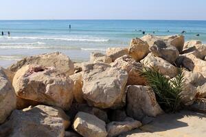 Stones and shells on the shore of the Mediterranean Sea. photo