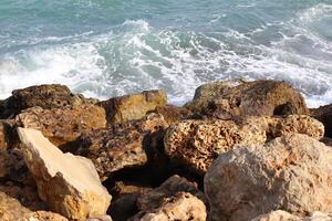 Stones and shells on the shore of the Mediterranean Sea. photo