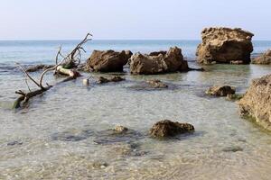 Stones and shells on the shore of the Mediterranean Sea. photo