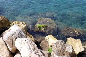 Stones and shells on the shore of the Mediterranean Sea. photo