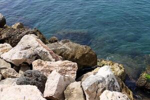 Stones and shells on the shore of the Mediterranean Sea. photo