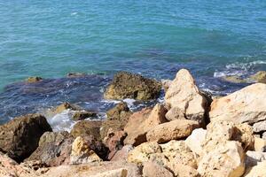 Stones and shells on the shore of the Mediterranean Sea. photo