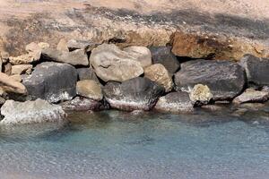Stones and shells on the shore of the Mediterranean Sea. photo