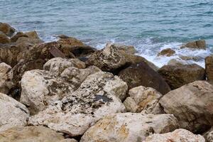 piedras y conchas en el apuntalar de el Mediterráneo mar. foto