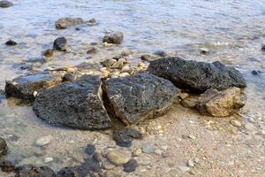 Stones and shells on the shore of the Mediterranean Sea. photo