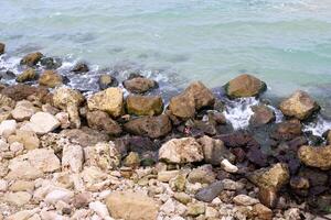 Stones and shells on the shore of the Mediterranean Sea. photo