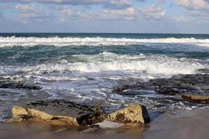 Stones and shells on the shore of the Mediterranean Sea. photo