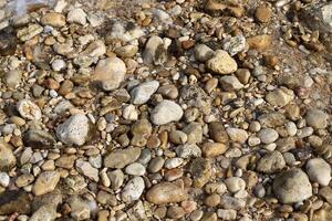 Stones and shells on the shore of the Mediterranean Sea. photo