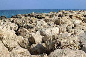 Stones and shells on the shore of the Mediterranean Sea. photo