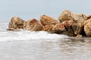 Stones and shells on the shore of the Mediterranean Sea. photo