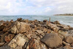 Stones and shells on the shore of the Mediterranean Sea. photo