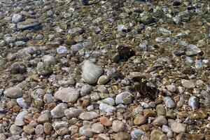 piedras y conchas en el apuntalar de el Mediterráneo mar. foto