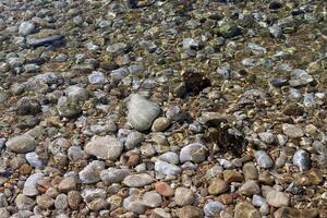 Stones and shells on the shore of the Mediterranean Sea. photo