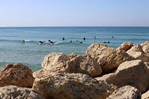 Stones and shells on the shore of the Mediterranean Sea. photo