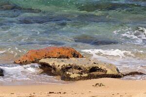 Stones and shells on the shore of the Mediterranean Sea. photo