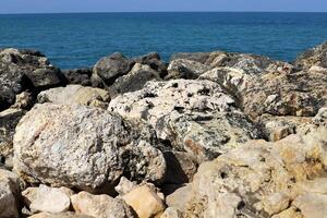 Stones and shells on the shore of the Mediterranean Sea. photo