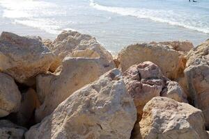 Stones and shells on the shore of the Mediterranean Sea. photo