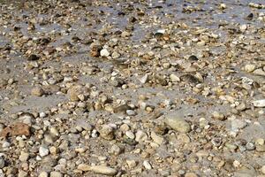 Stones and shells on the shore of the Mediterranean Sea. photo