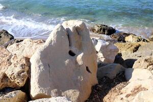 Stones and shells on the shore of the Mediterranean Sea. photo