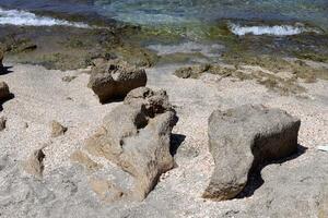 Stones and shells on the shore of the Mediterranean Sea. photo