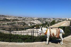 Jerusalem Israel 08 20 2023. The city of Jerusalem is the capital of the state of Israel. photo