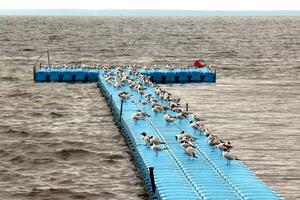 A pier on the shore for mooring boats and yachts. photo