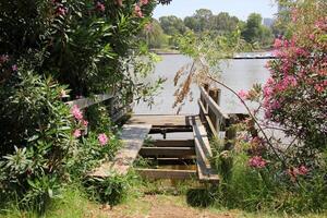 A pier on the shore for mooring boats and yachts. photo