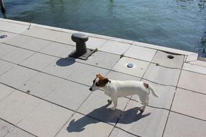 A pier on the shore for mooring boats and yachts. photo