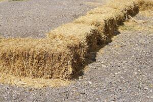 Straw is the dry stems of cereal crops remaining after threshing. photo