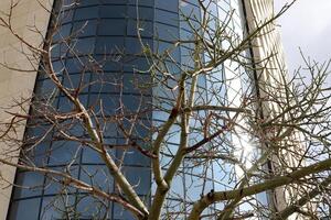 Tel Aviv Israel 03 28 2024. Buildings and structures in Tel Aviv through the foliage of tall trees. photo