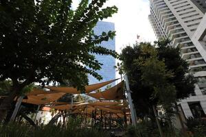 Tel Aviv Israel 03 28 2024. Buildings and structures in Tel Aviv through the foliage of tall trees. photo