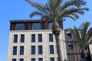 Tel Aviv Israel 03 28 2024. Buildings and structures in Tel Aviv through the foliage of tall trees. photo