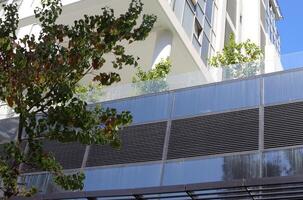 Tel Aviv Israel 03 28 2024. Buildings and structures in Tel Aviv through the foliage of tall trees. photo
