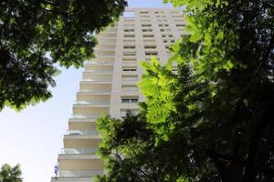 Tel Aviv Israel 03 28 2024. Buildings and structures in Tel Aviv through the foliage of tall trees. photo